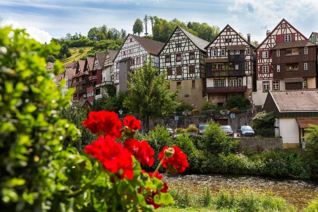 Haus Sieber - Familie Link Lägenhet Schiltach Exteriör bild